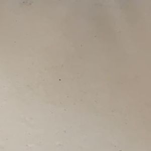 Meet your Posher, Hatice